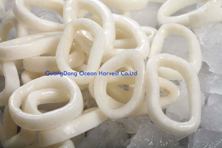 frozen squid China _frozen squid ring